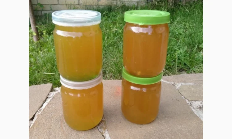 Продам мед - фото № 1