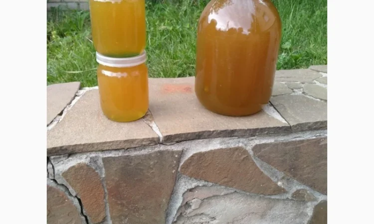 Продам мед - фото № 2