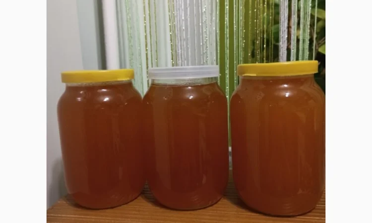 Продам мед липа + золотарник - фото № 1