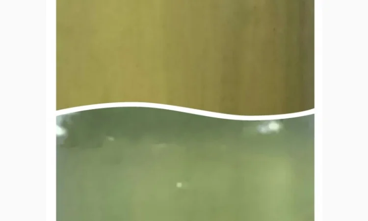 Купую мед з акації оптом - фото № 1