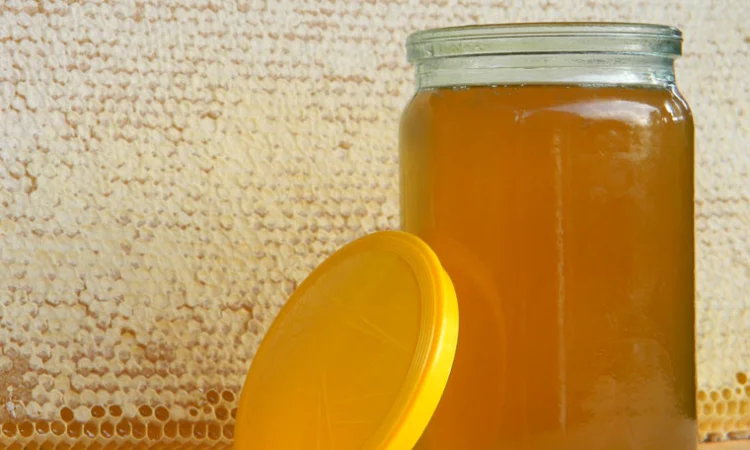 Акацієвий мед 2021 року, мед з фацелією - фото № 1