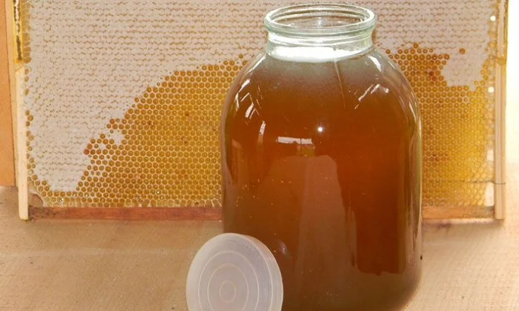 Мед акацієвий, різнотрав’я та соняшник - фото № 1