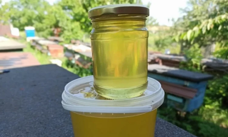 Мед акация з власної пасіки, 100% натуральний, урожай 2021 року - фото № 1