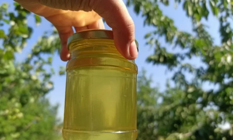 Мед акация з власної пасіки, 100% натуральний, урожай 2021 року - фото № 2