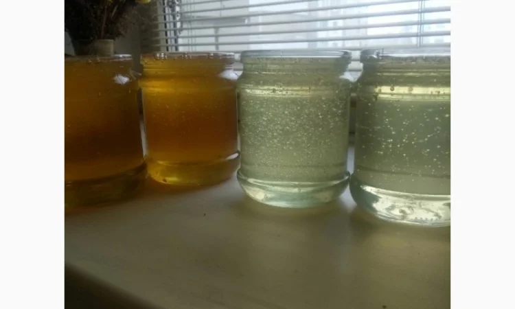 Продам натуральный мёд акации и липы урожая 2023 года - фото № 1