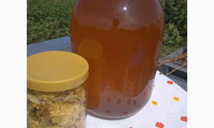 Мёд из семейной пасеки в пойме реки Мжа - фото № 1