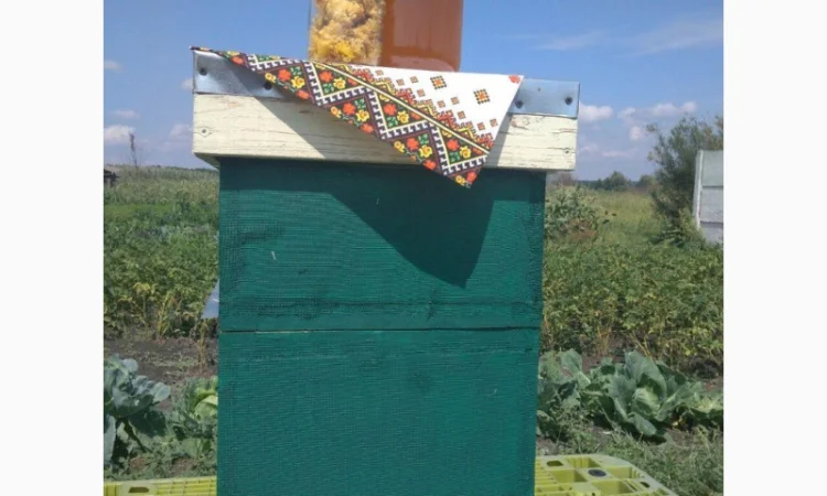 Мёд из семейной пасеки в пойме реки Мжа - фото № 2