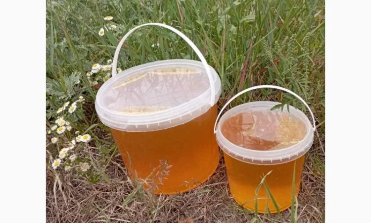 Мед різнотрав’я натуральний - фото № 2