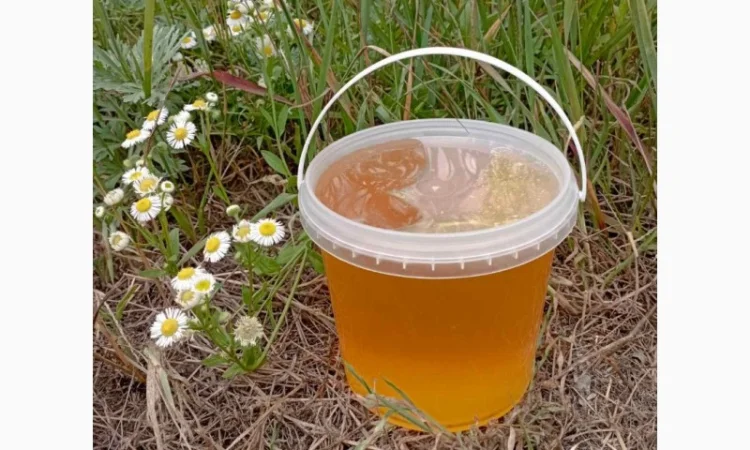 Мед різнотрав’я натуральний - фото № 4