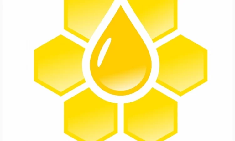 Покупаем мёд дорого — от 5 тонн - фото № 1