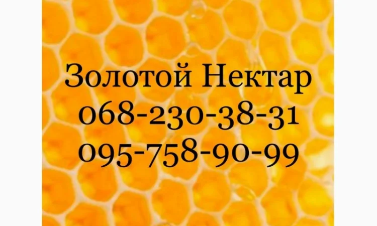 Закупаем мёд в Днепропетровской и Херсонской областях - фото № 1