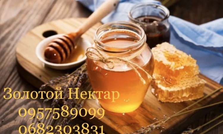 Закупаем подсолнечный мед оптом в Кривом Роге – Золотой Нектар - фото № 1