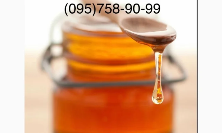 Закупаем мёд у пасечников — честные условия и самовывоз - фото № 1