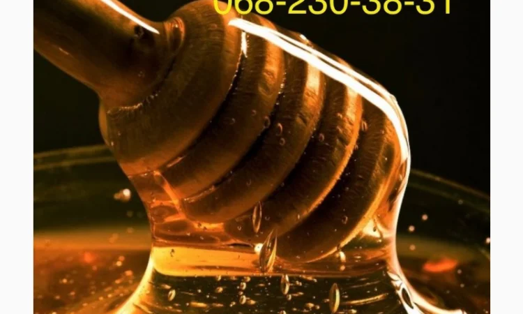 Закупаем мёд оптом – компания «Золотой Нектар» - фото № 1