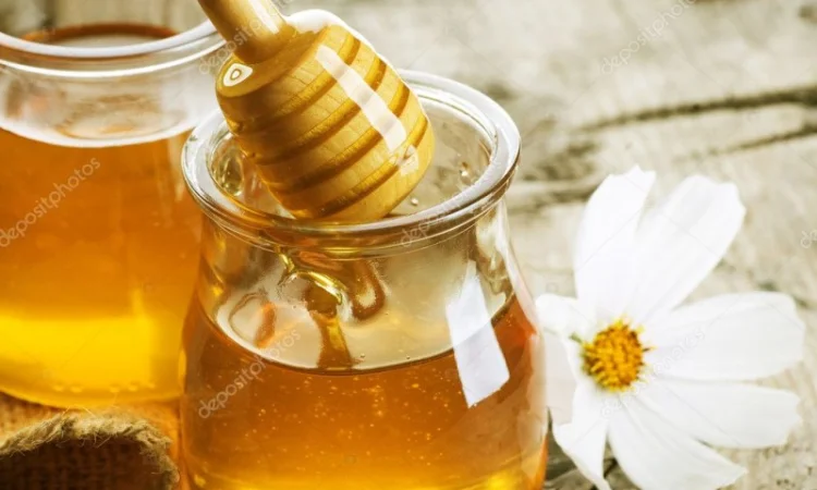 Купим натуральный мед без антибиотиков у пчеловодов - фото № 1