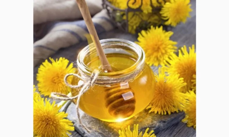 Закупаем мед оптом в Николаевской и Кировоградской областях - фото № 1