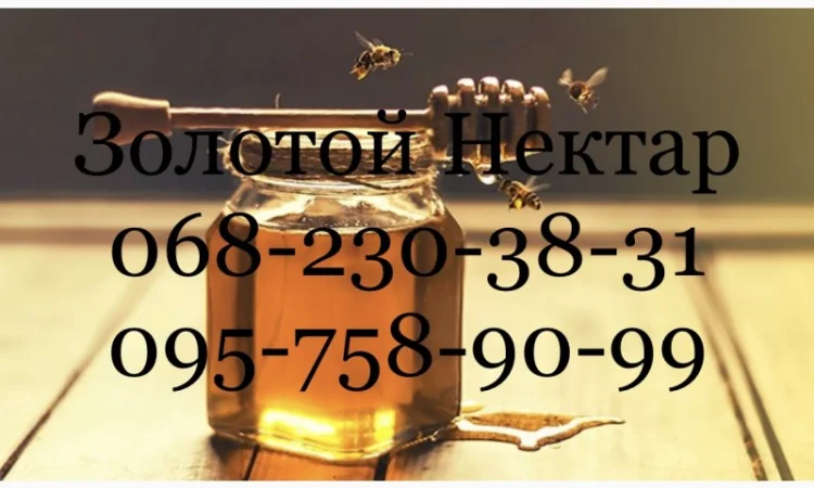 Купимо оптом ріпаковий та соняшниковий мед, Дніпропетровська і Херсонська області - фото № 1