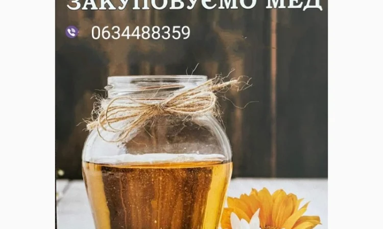 Закупівля меду урожаю 2024 року - фото № 1