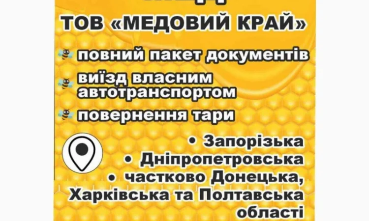 Приймаємо мед на закупівлю - фото № 1