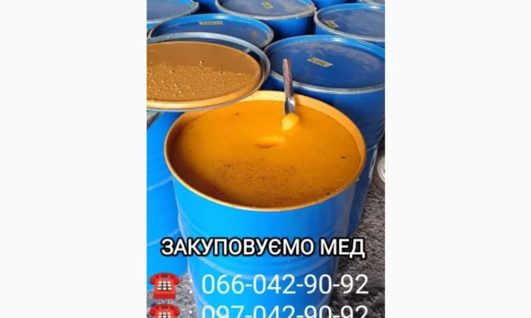 Закуповуємо мед у Запорізькій та Дніпропетровській областях - фото № 1