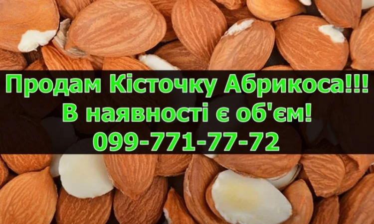 Реалізується Кісточка абрикоса, урожай 2024 р. Залишки уточнюйте - фото № 1