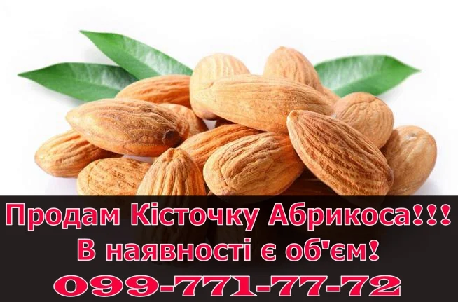 Реалізую кісточку абрикоса за договірними цінами - фото № 1