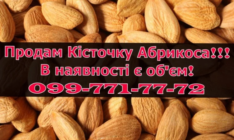 Продаю кісточку абрикоса за договірною ціною - фото № 1