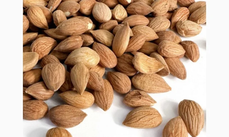 Продам Кісточку абрикоса! Великим та дрібним оптом - фото № 1