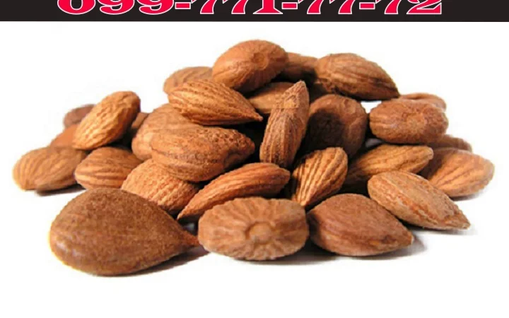 На постійній основі реалізую кісточку абрикоса - фото № 1