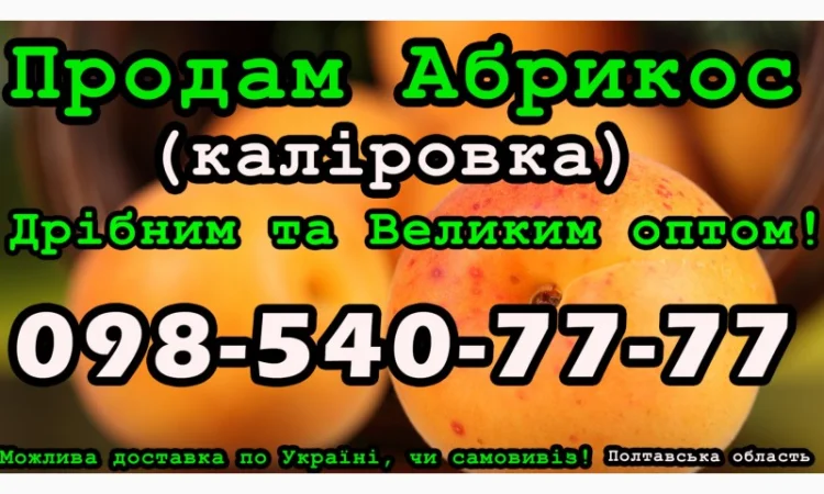 Продам Абрикос (калировка) за договірною ціною на постійній основі - фото № 1