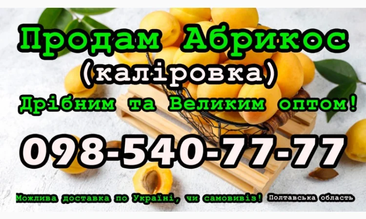 Продам Абрикос (калировка) за договірною ціною, урожай 2024 - фото № 1