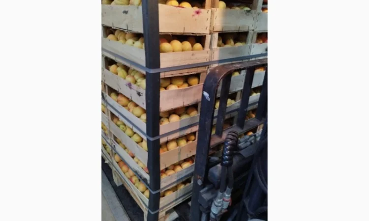 Продам молдавскую ананаску - фото № 1