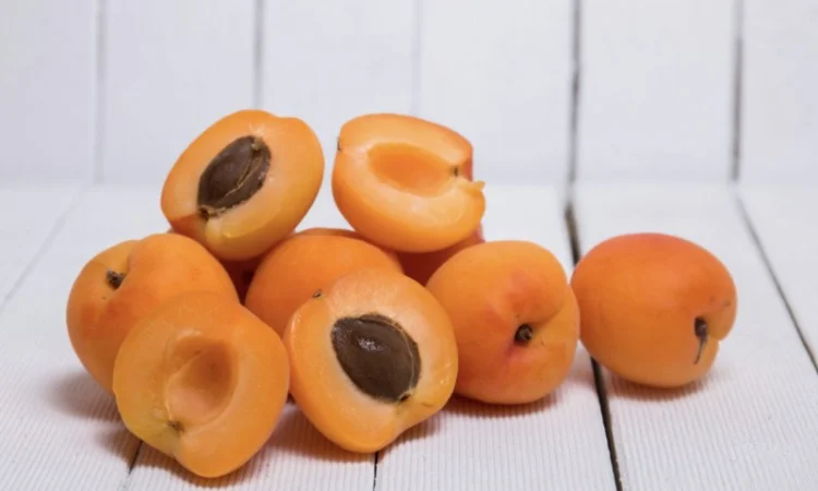 Куплю абрикос - фото № 1