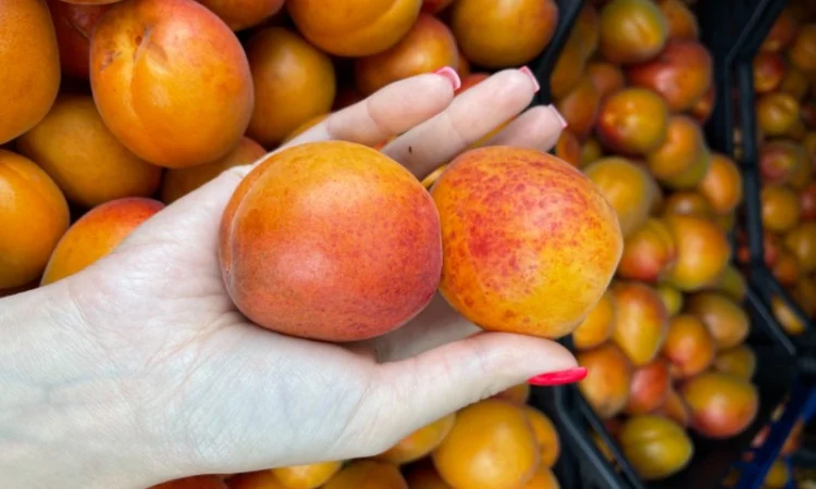 Продам абрикосу - фото № 3