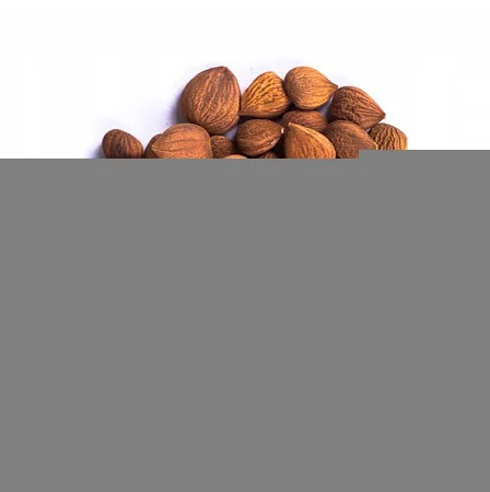 Ядро сладкой абрикосовой косточки - фото № 1