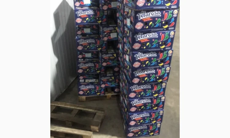 Банани оптом з Еквадору та Коста-Ріки - фото № 1