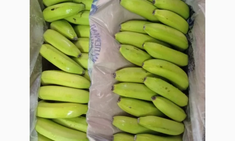 Продам банани, Львiвська область - фото № 2