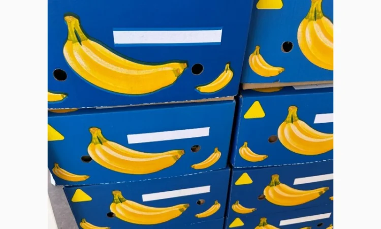 Банани з Єгипту оптом - фото № 8