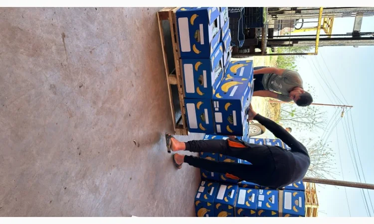 Банан Єгипет - фото № 9