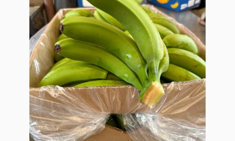 Банан Єгипет - фото № 3