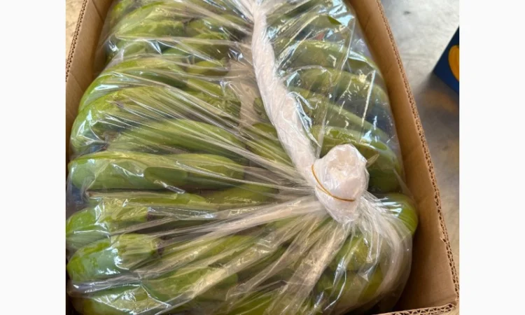 Банан Єгипет - фото № 5