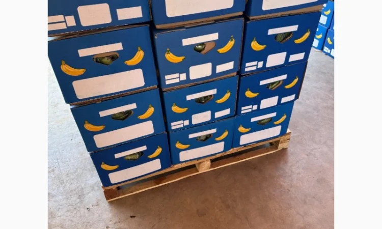 Банан Єгипет - фото № 6