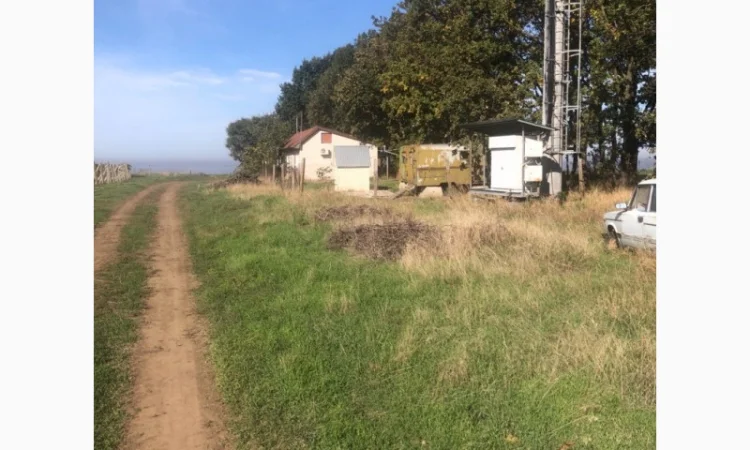 Продаж фермерського господарства з вирощування винограду - фото № 1