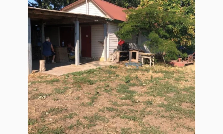 Продаж фермерського господарства з вирощування винограду - фото № 9