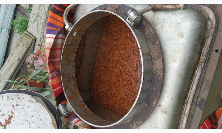 Куплю ваши виноград, ягоды на сок - фото № 1