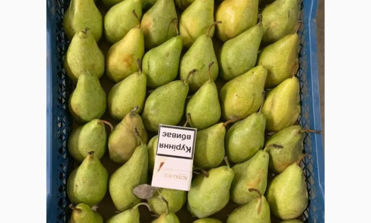 Продам Грушу Ноябрську (Листопадову) - фото № 2