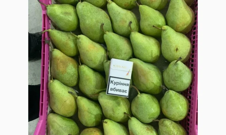 Продам Грушу Ноябрську (Листопадову) - фото № 3