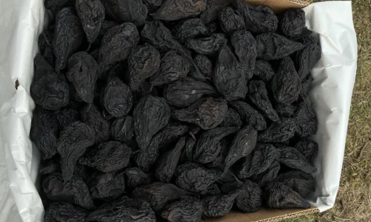 Продам груші сушені, сорт Ноябирська - фото № 2