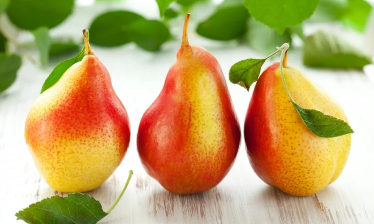 Купим грушу - фото № 1