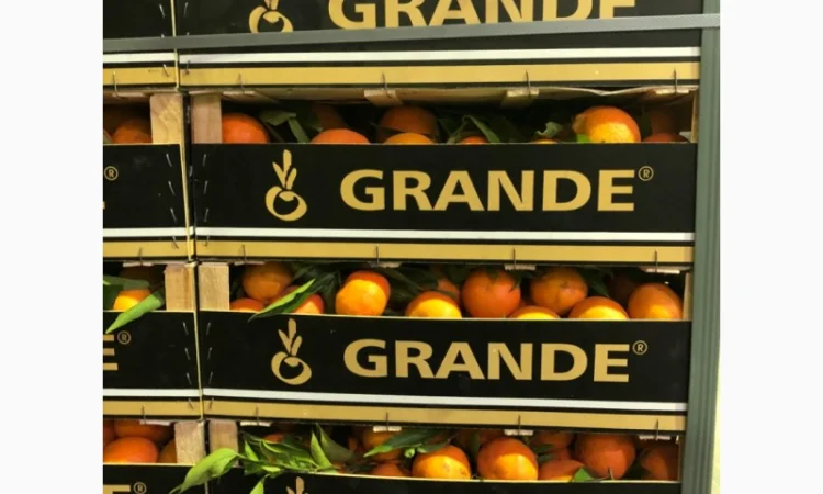 Мандарин Испания - фото № 4